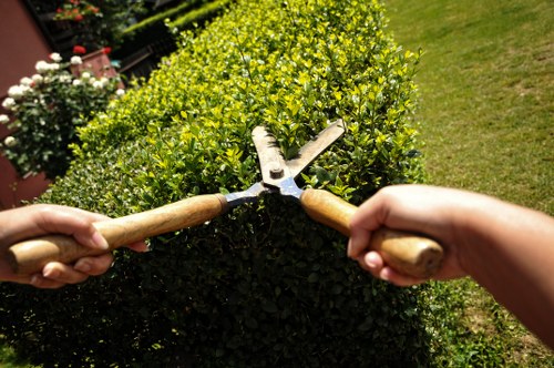 The image shows a close-up view of two hands, each holding a garden shear with wooden handles, actively trimming a dense, rounded hedge composed of small, glossy green leaves. The hedge is part of a well-maintained front or backyard garden, with a vibrant green lawn visible to the right and a variety of flowering plants and shrubs in the background, including white and pink blooms. The scene is set outdoors in bright, natural daylight with a clear sky, highlighting the natural tones of the foliage and the textured paving stones or soil at the base of the hedge. This image exemplifies diligent garden maintenance, such as pruning and shaping, relevant for lawn and garden care services provided by companies like Lawn Mowing Fulham, serving the Fulham area in London.
