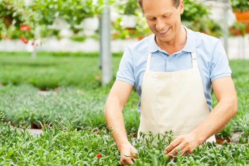 A smiling man in a light blue shirt and beige apron is working in a lush greenhouse or nursery filled with plants, including rows of small green, red, and purple foliage. The environment features a glass ceiling allowing natural sunlight to illuminate the vibrant greenery, with metal support beams visible overhead. In the background, there are more plants and shelving units, indicating an organized gardening or plant propagation facility. The man appears to be tending to the healthy plants, reflecting professional gardening and horticultural care commonly associated with gardening services in Fulham, contributing to well-maintained outdoor and indoor plant environments.