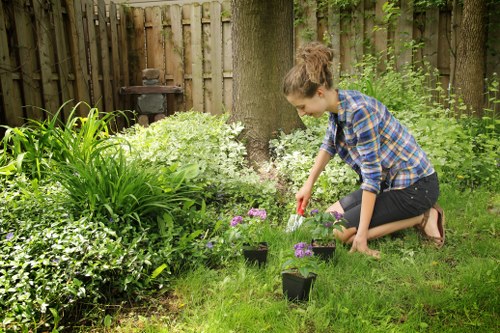 Garden clearance crew removing green waste in a residential Fulham back garden