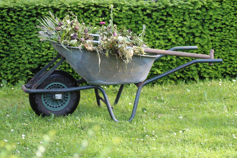 Close-up of a person trimming a dense, vibrant green hedge with long-handled pruning shears during daytime. The individual's blue jeans and part of their hand holding the shears are visible, while the