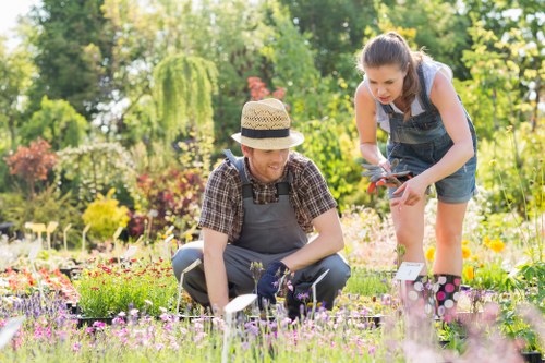 Professional lawn mowing service in Fulham