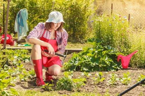Various types of lawn mowers suitable for Fulham gardens